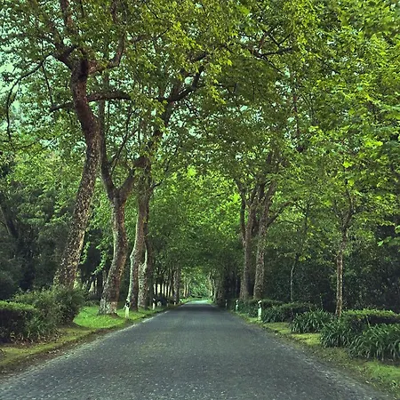 Azor International I Ponta Delgada