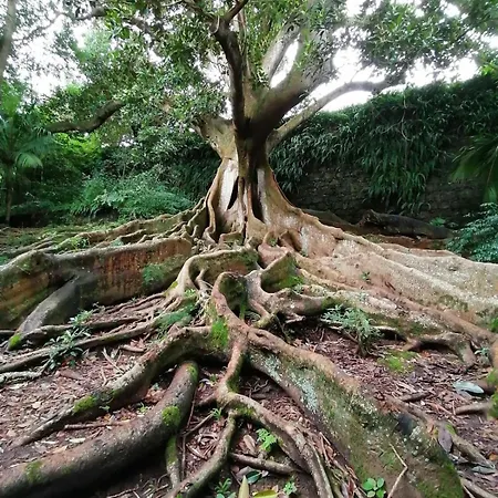 Lägenhet Azor International I