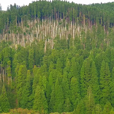 Lägenhet Azor International I