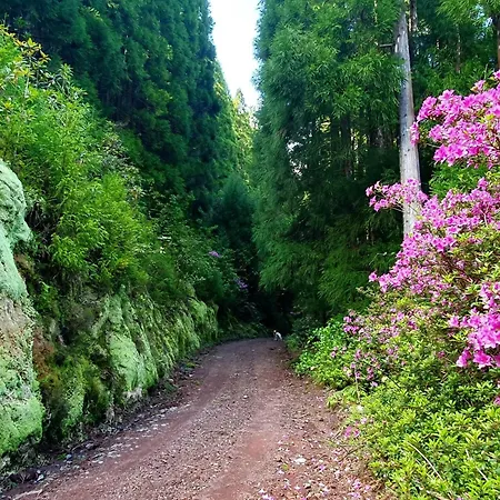 Azor International I Lägenhet Ponta Delgada