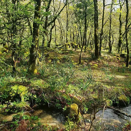 Azor International I Lägenhet