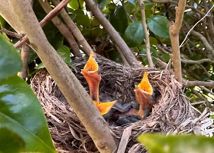 Azor International I דירה *