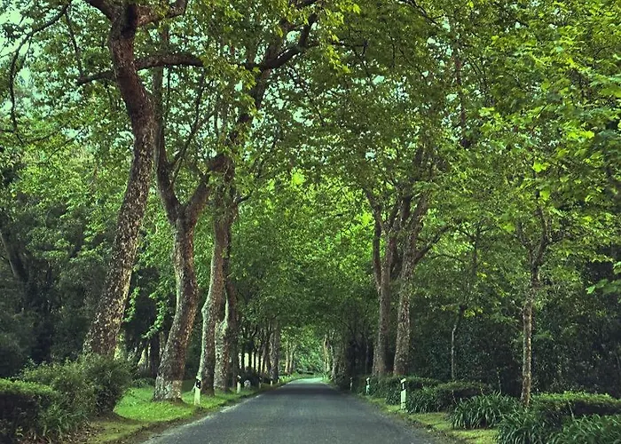 Azor International I Ponta Delgada