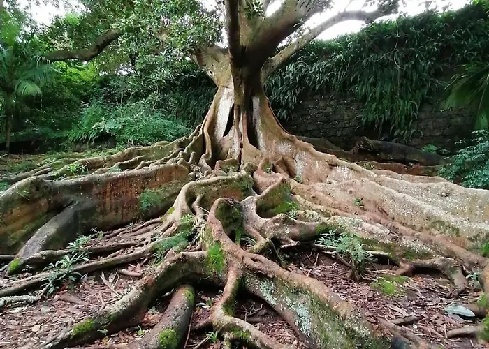 דירה Azor International I