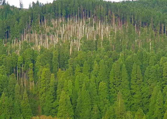 דירה Azor International I