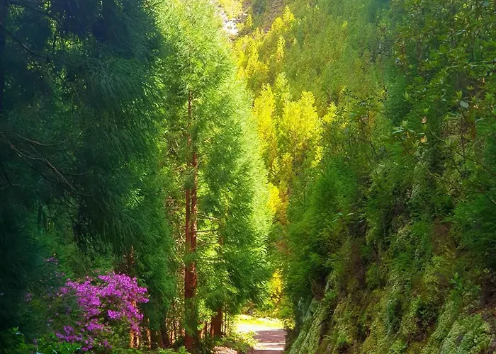 Azor International I * Ponta Delgada