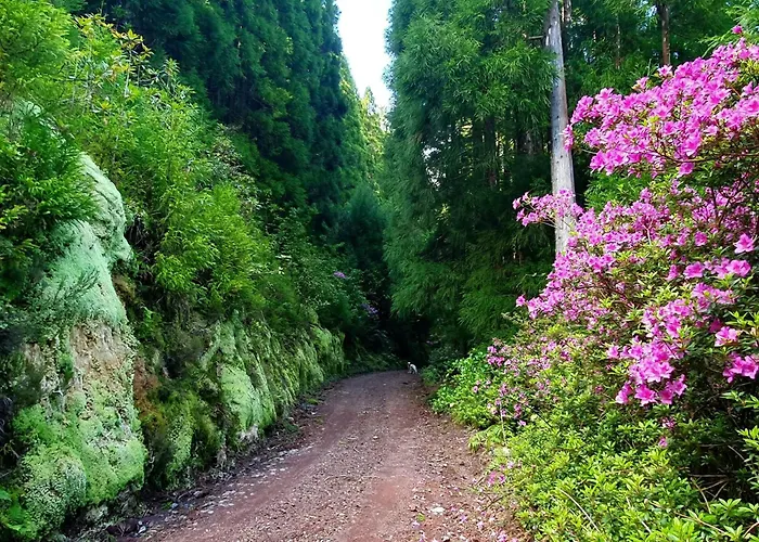 Azor International I דירה Ponta Delgada