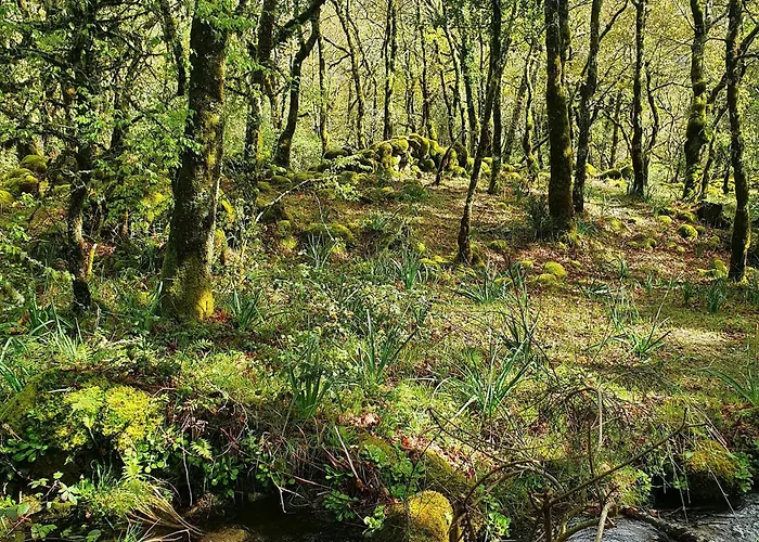 Azor International I דירה