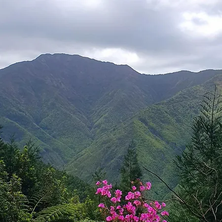 Azor International I * Ponta Delgada