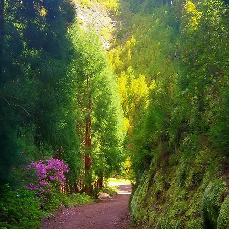 Azor International I * Ponta Delgada